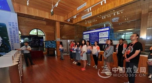 智能制造与网络科技双轮驱动，为南康家具产业注入创新动能